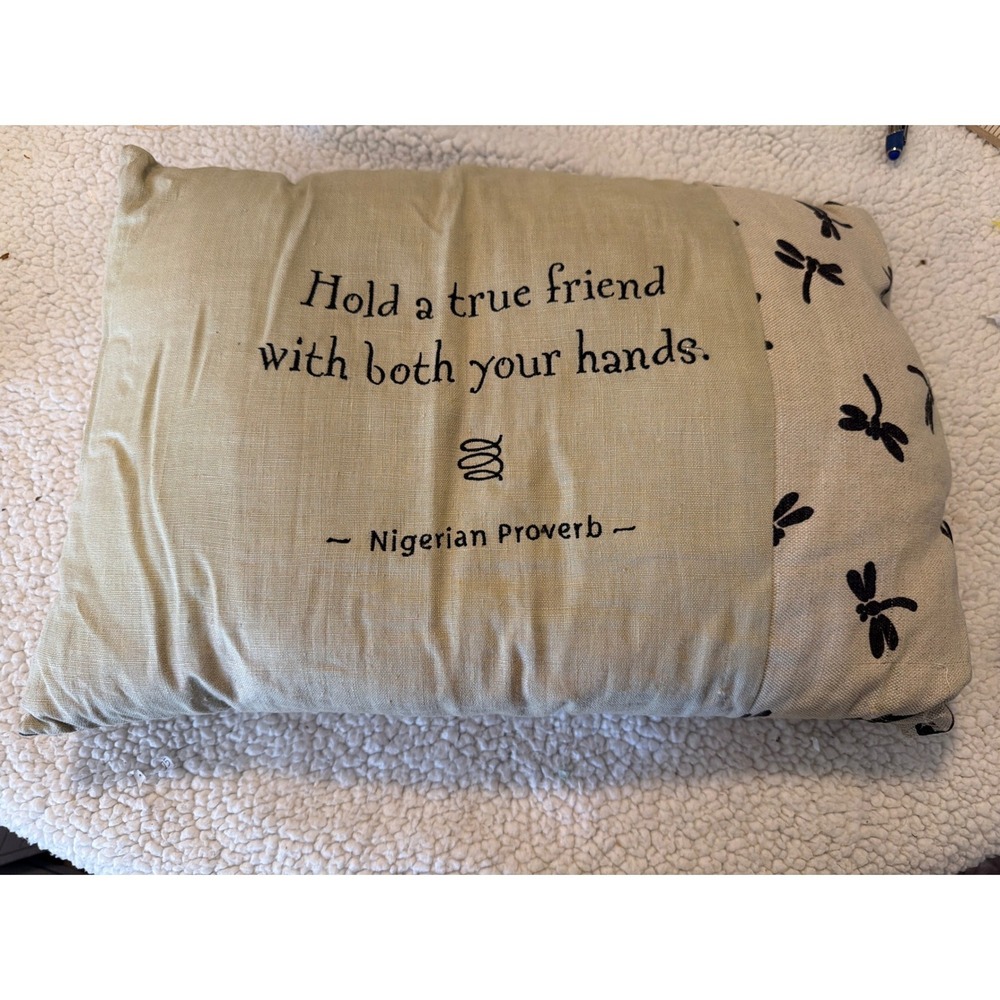 Nigerian Proverb Dragonfly Throw Pillow Sage‎ Green Cream Friendship Gift 17x11